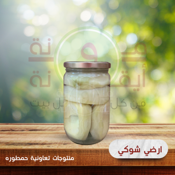 ارضي شوكي